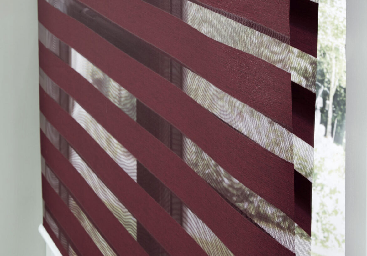 Day and Night Blinds with Z lite panels